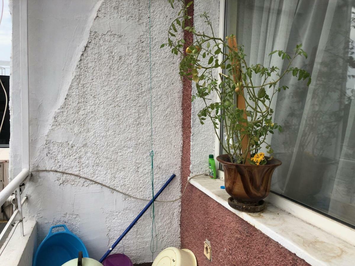 Jivko'S Studio Warna Zewnętrze zdjęcie